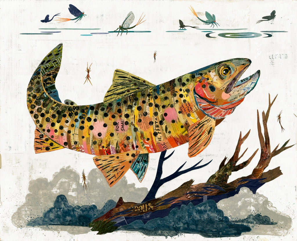 ROARING FORK RAINBOW TROUT limited edition paper print